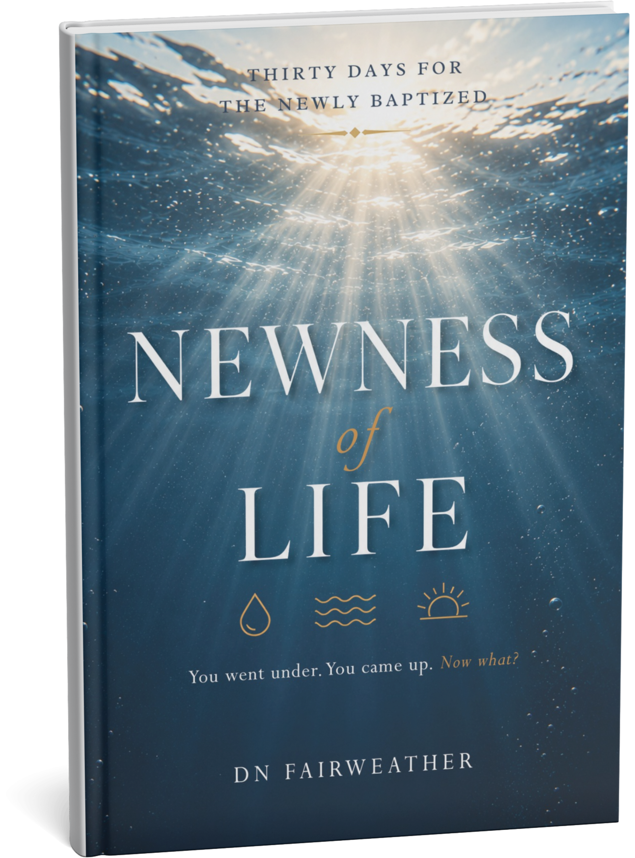 Newness of Life